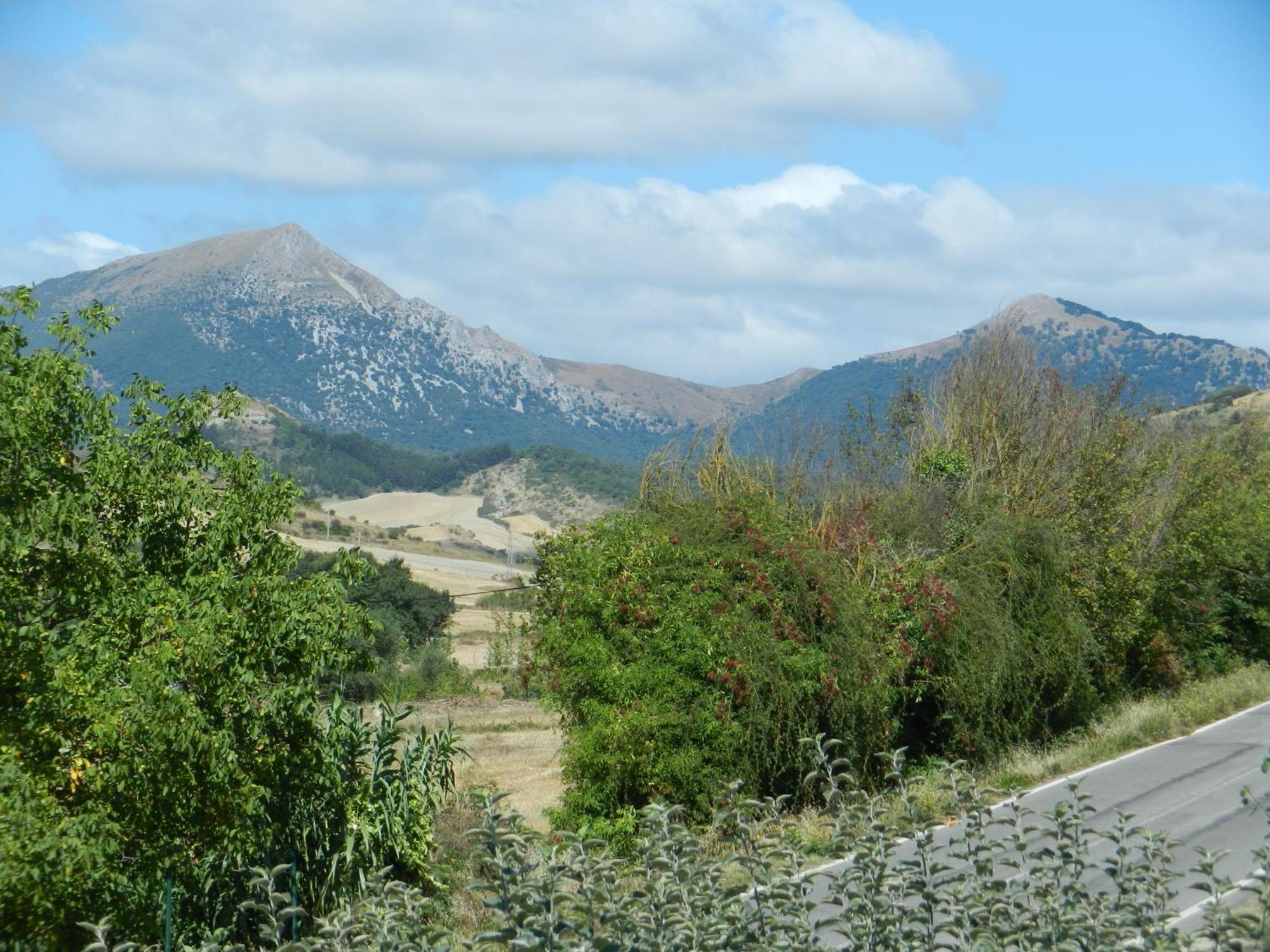 Penzion Casa De La Cadena Asiáin Pokoj fotografie